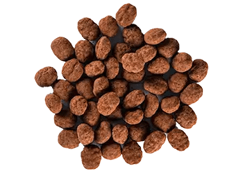 theomurata(テオムラタ) - ビーンズショコラ･茶葉ショコラ通販お取り寄せ - ｢エスプレッソビーンズ｣チョコレートビーンズ