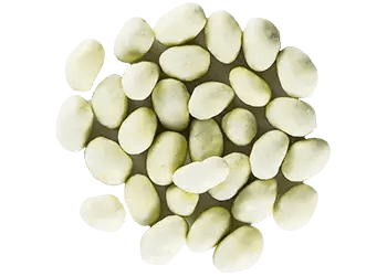 theomurata(テオムラタ) - ビーンズショコラ･茶葉ショコラ通販お取り寄せ - ｢ピスタチオショコラ｣チョコレートビーンズ