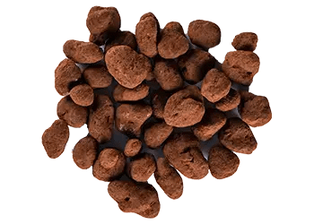 theomurata(テオムラタ) - ビーンズショコラ･茶葉ショコラ通販お取り寄せ - ｢胡桃ショコラ｣チョコレートビーンズ